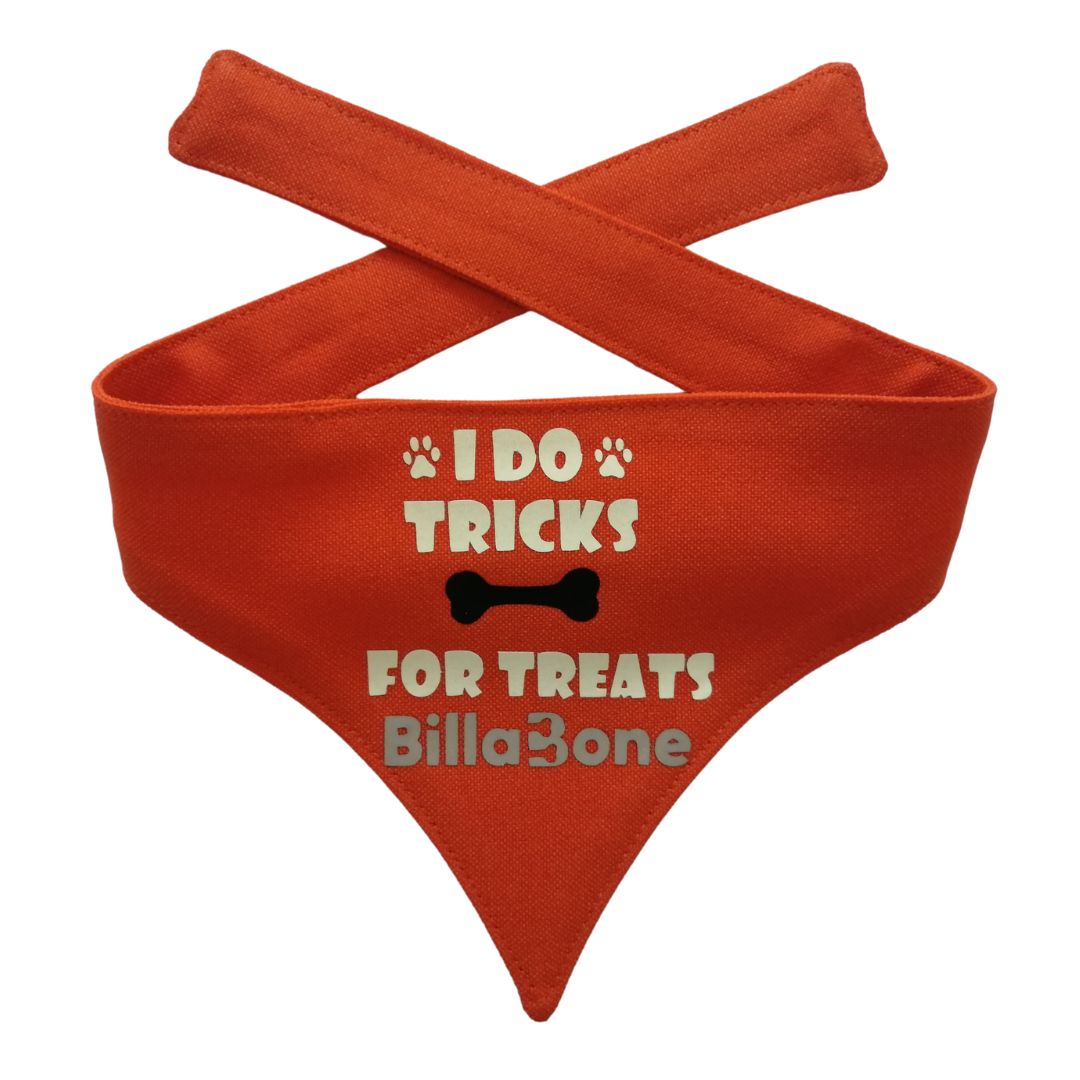 I do tricks for treats - Glow in the dark Bandana - Billabone