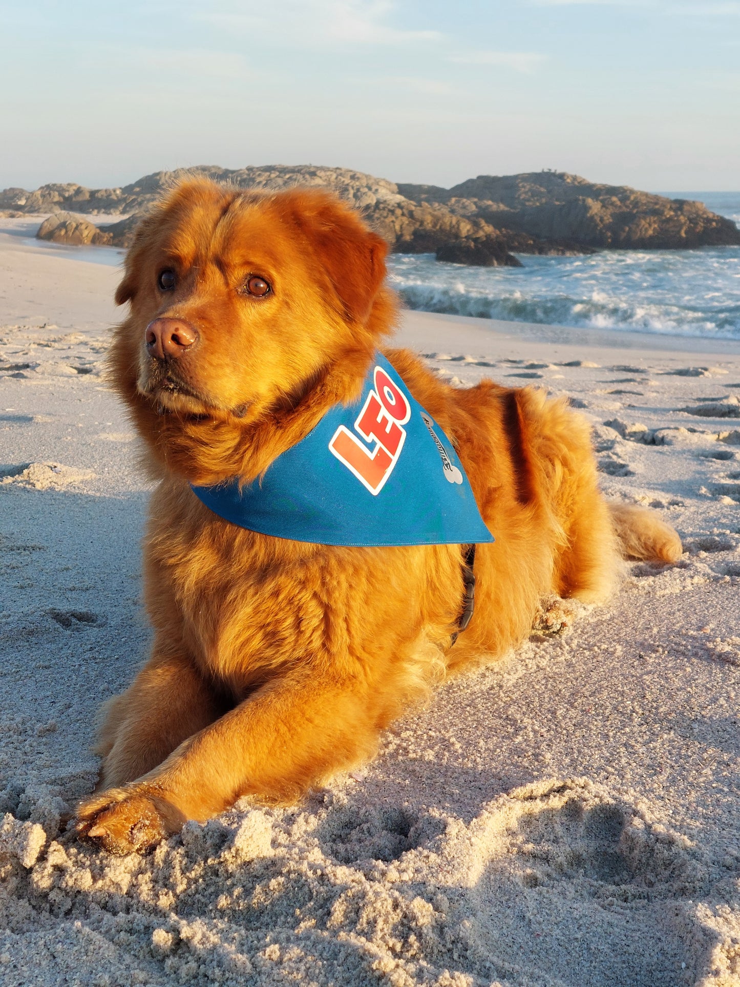 Personalize your own Bandana