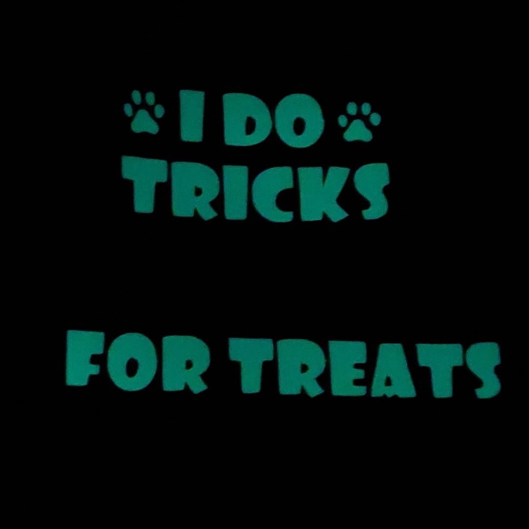 I do tricks for treats - Glow in the dark Bandana - Billabone