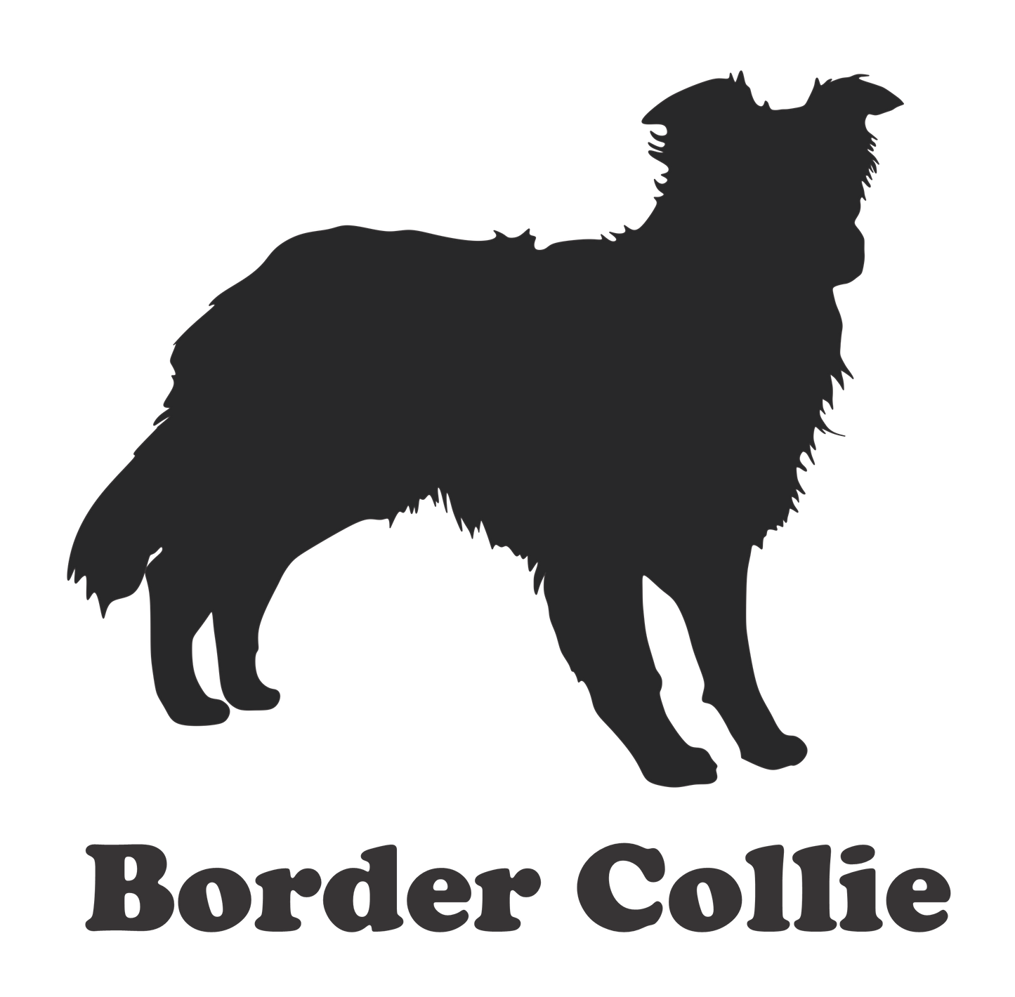 Border Collie Sticker - Billabone