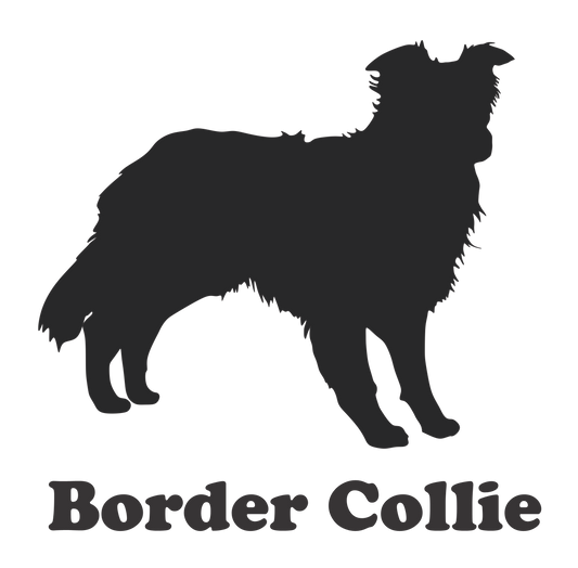 Border Collie Sticker - Billabone