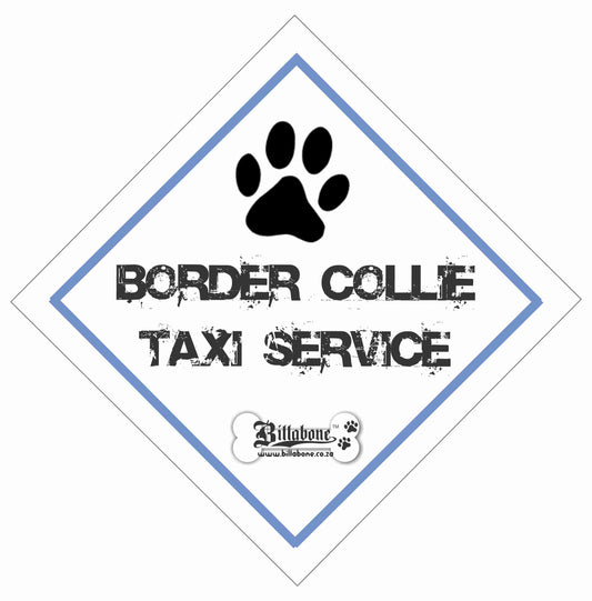 Border Collie Taxi Service Car Sign or Sticker