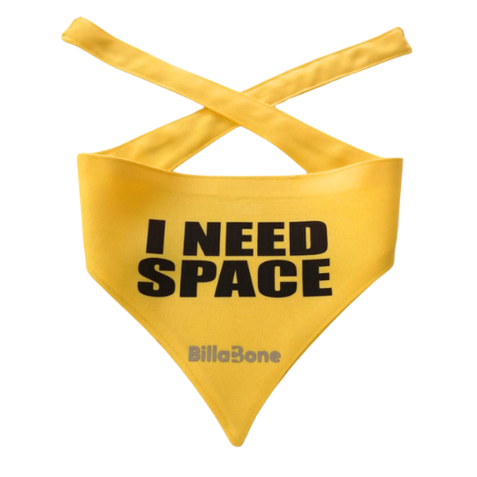 I Need Space Bandana - Billabone