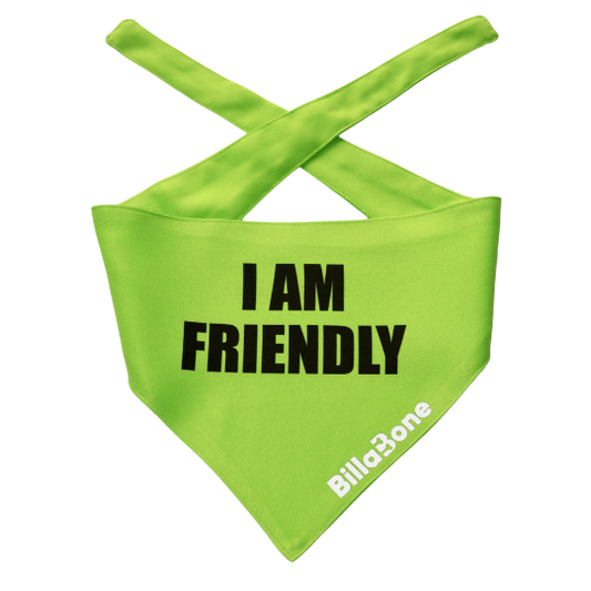 I am Friendly Bandana - Billabone