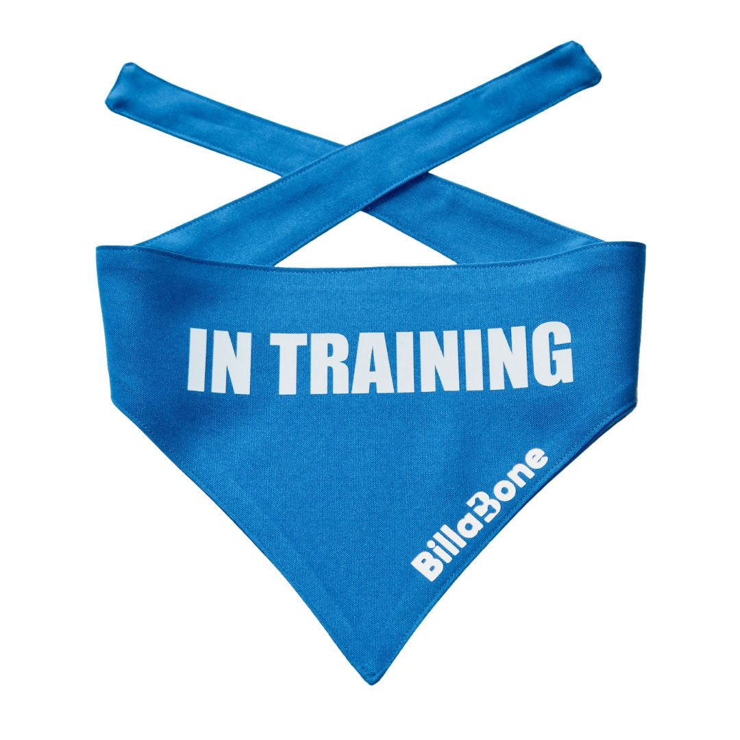 In Training Bandana - Billabone