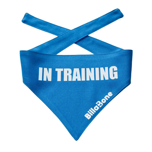 In Training Bandana - Billabone