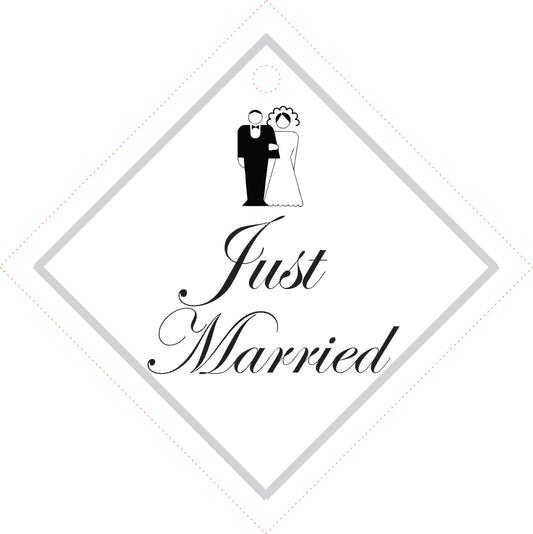 Just Married Car Sign or Sticker - Billabone