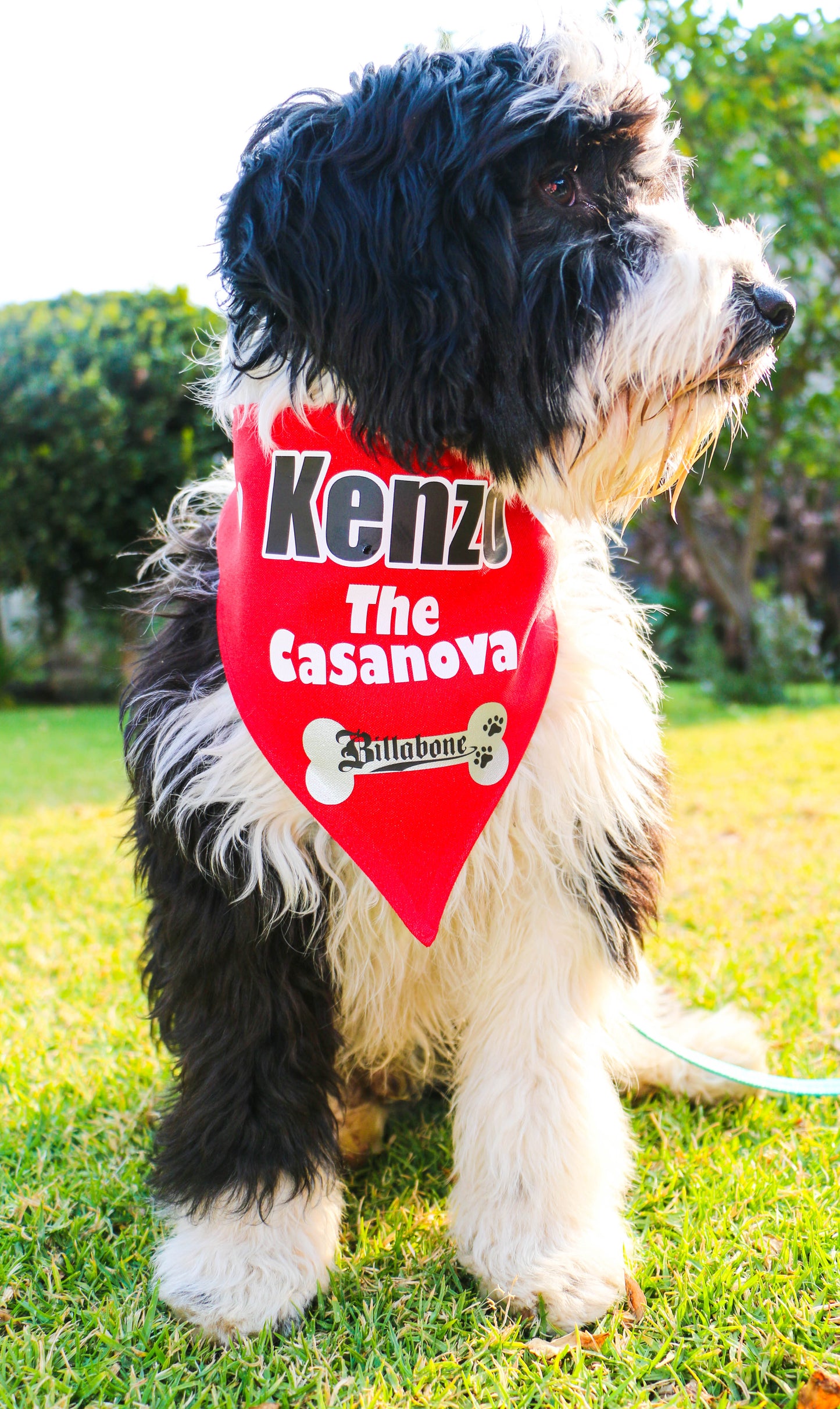 Personalize your own Bandana