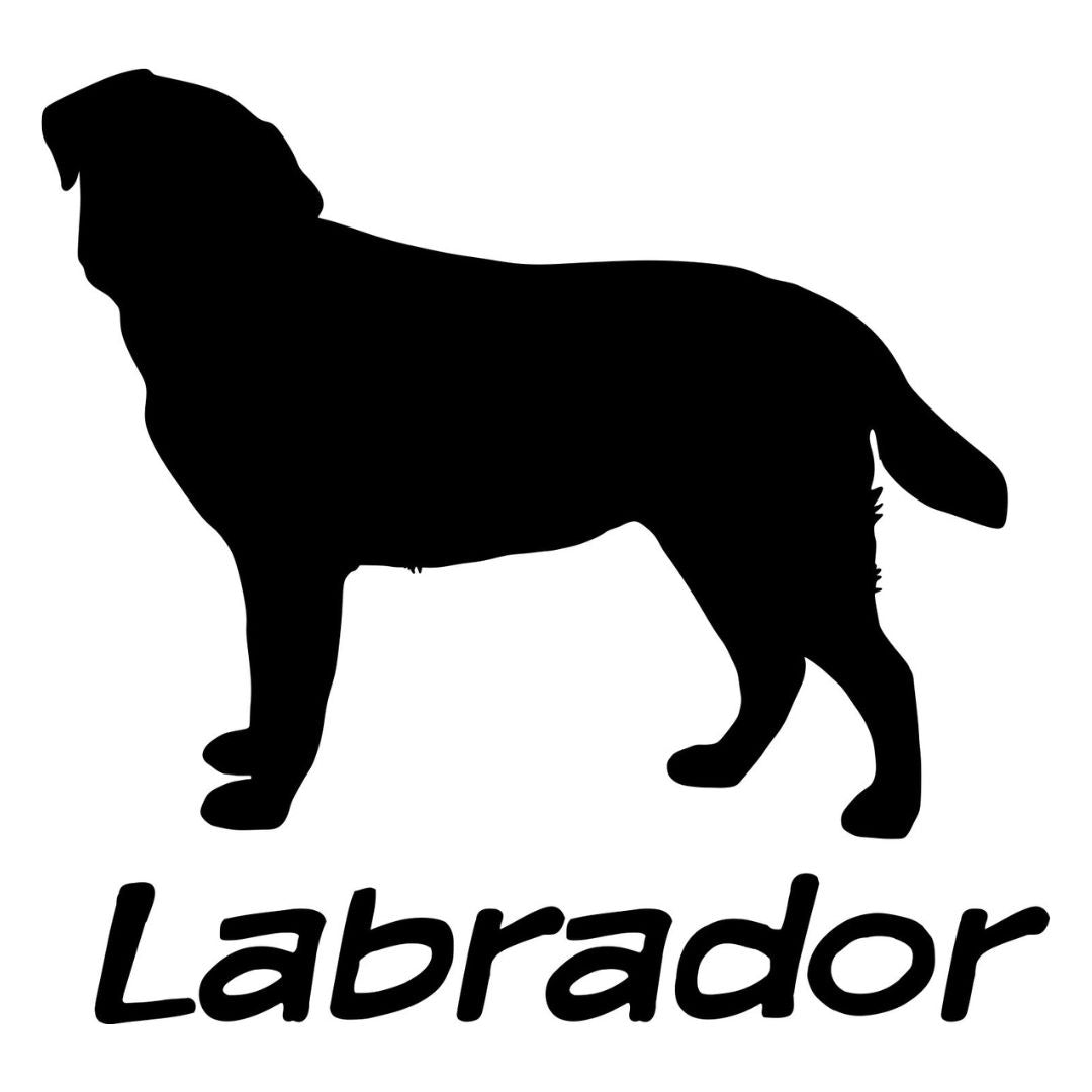 Labrador Sticker - Billabone