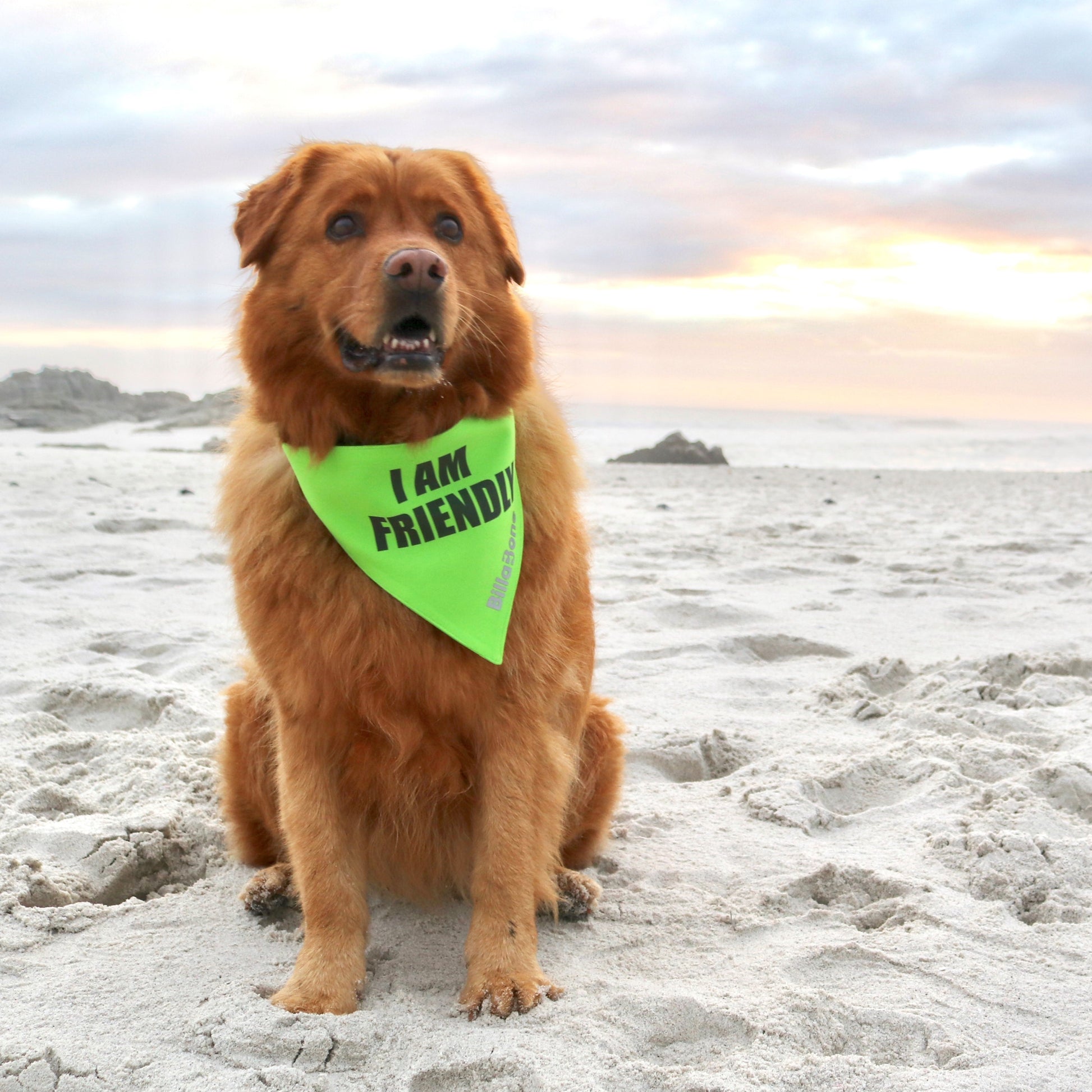 I am Friendly Bandana - Billabone