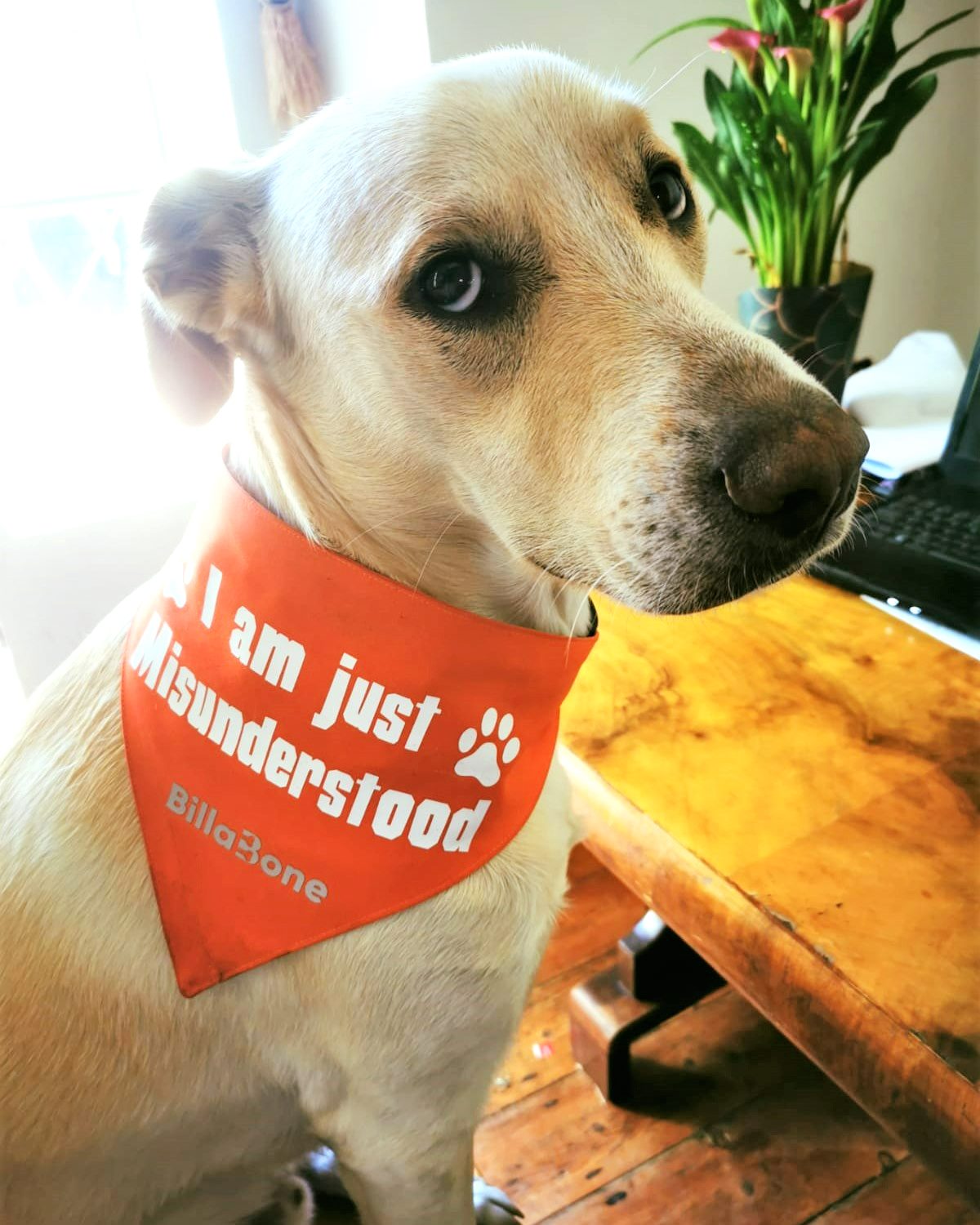 Personalize your own Bandana