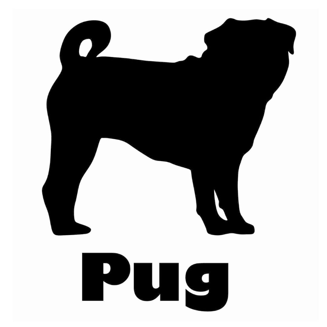 Pug Sticker - Billabone