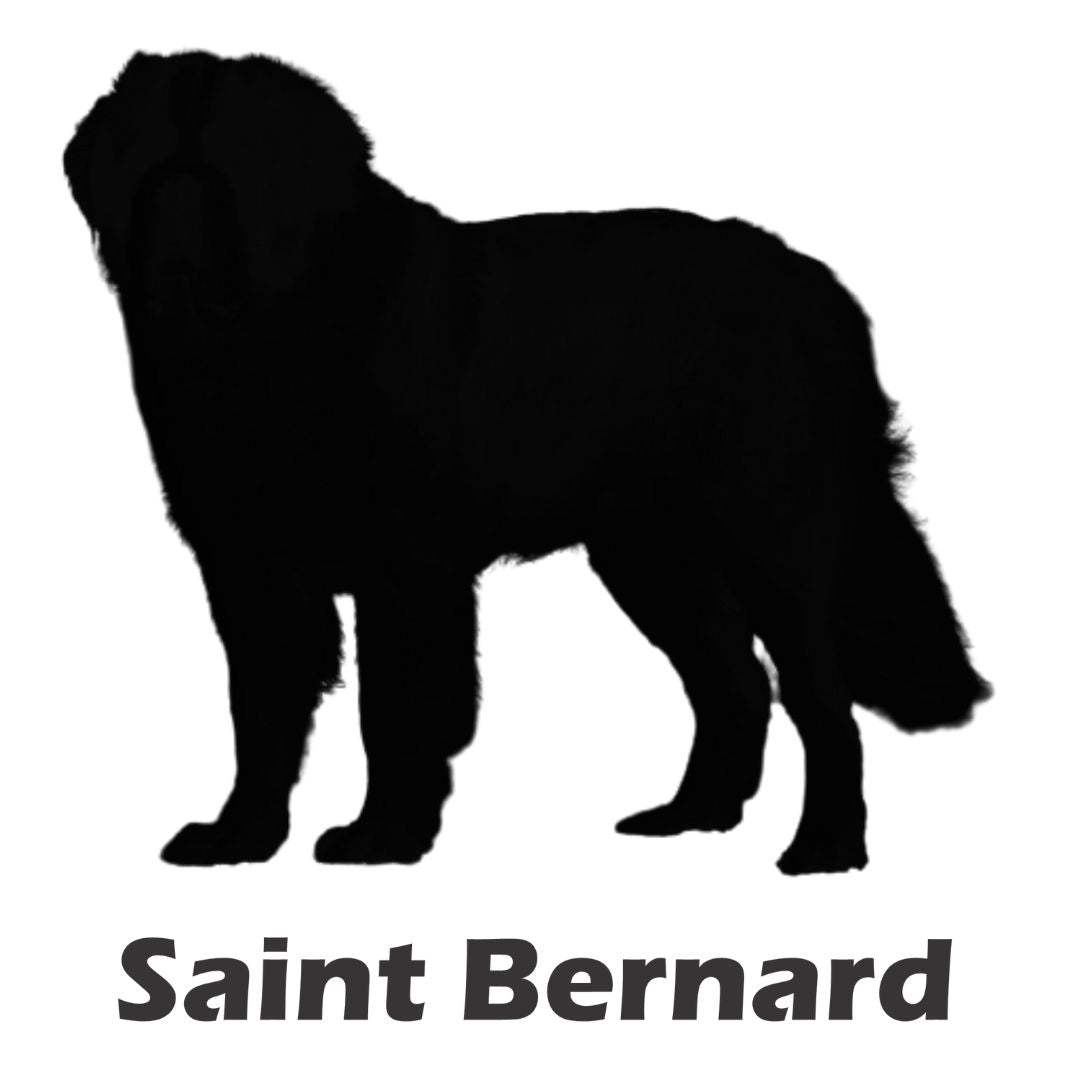 Saint Bernard Sticker - Billabone