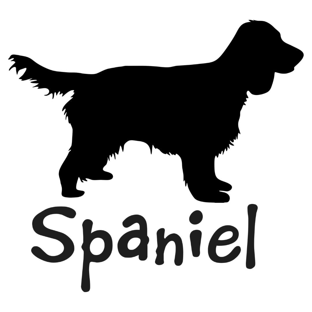 Spaniel Sticker - Billabone