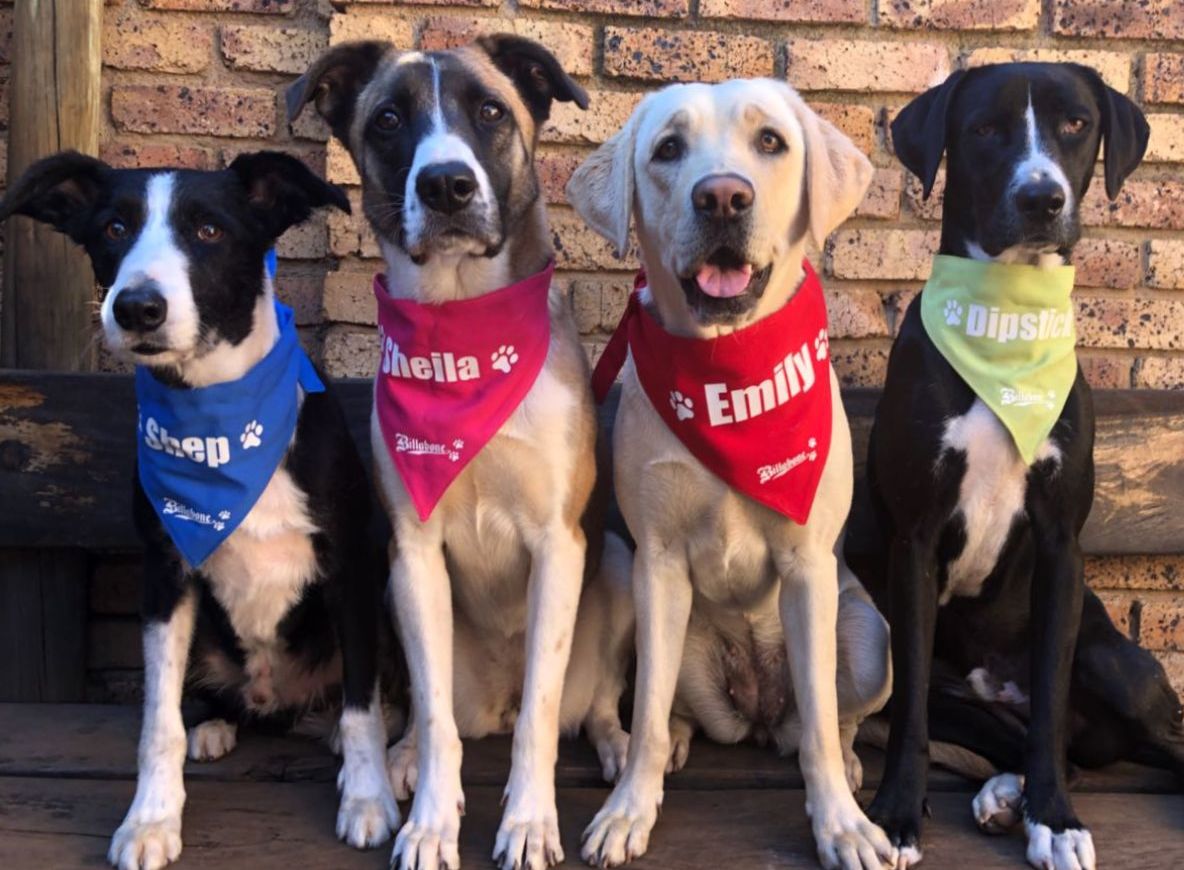 Personalize your own Bandana