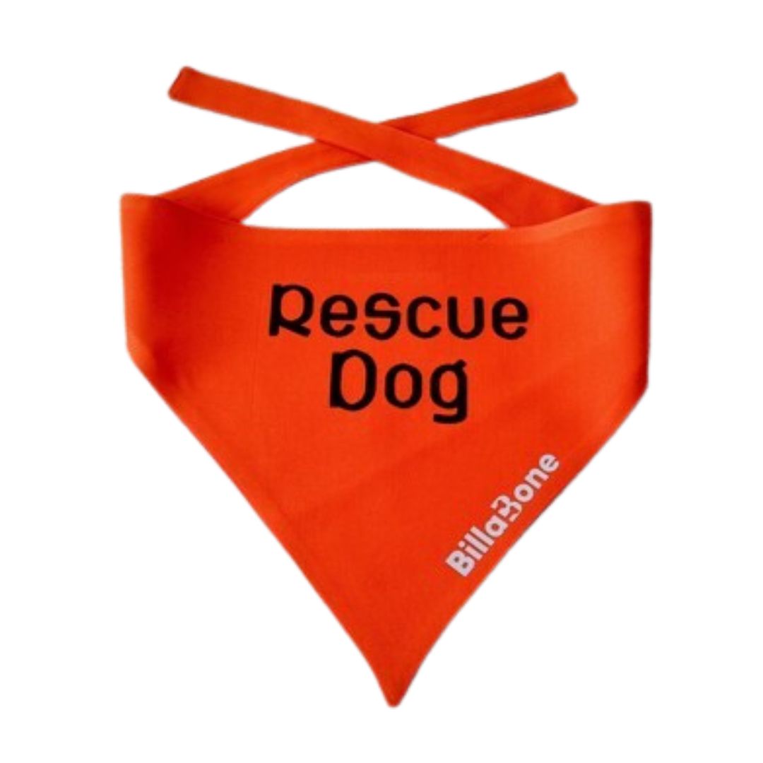 Rescue Dog Bandana - Billabone